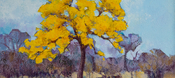 Cassia Abbreviata 2, Kruger Park | 2019 | Oil on Canvas | 36 x 51 cm
